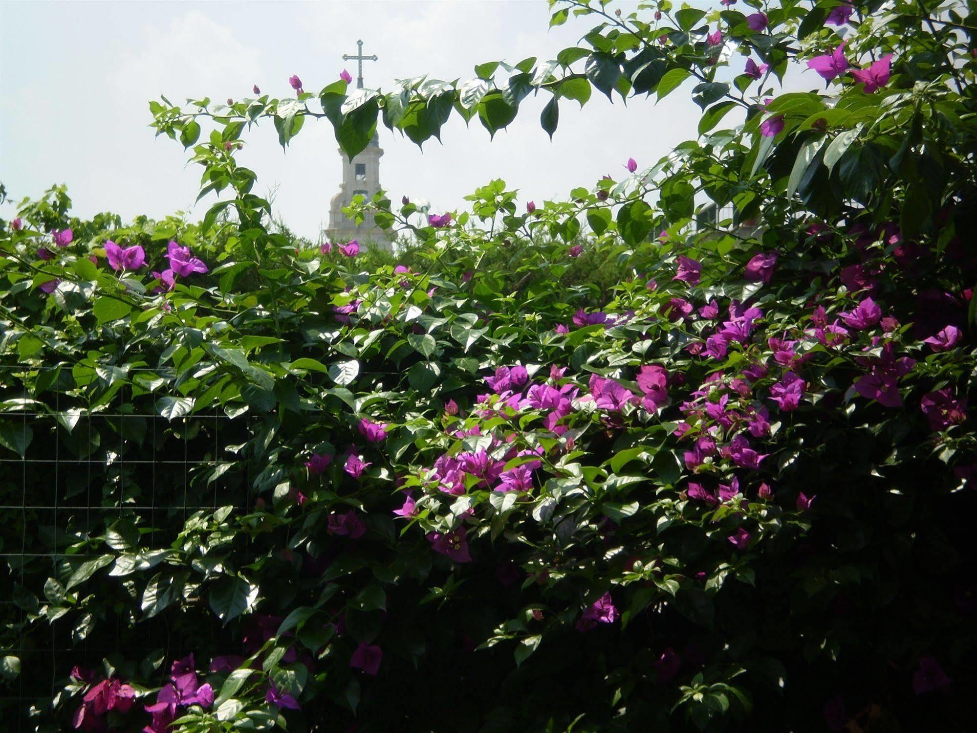 B&B Pompei Welcome エクステリア 写真